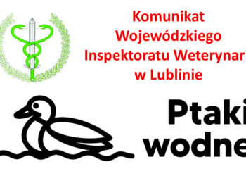 W województwie lubelskim zarejestrowano ogniska grypy ptaków (HPAI).