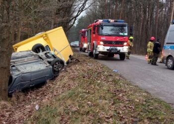 Tchórzew-Kolonia kierujący osobowym Renault nie ustąpił pierwszeństwa kierowcy busa.