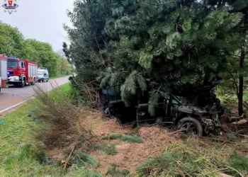 Wypadek samochodu osobowego w Czemiernikach.