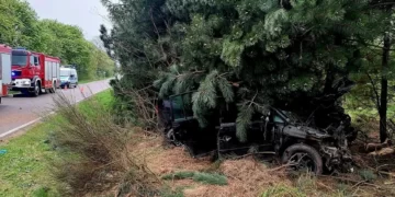 Wypadek samochodu osobowego w Czemiernikach.