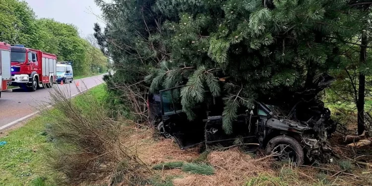 Wypadek samochodu osobowego w Czemiernikach.
