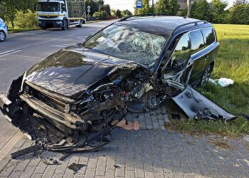 W Gąsiorach kierowca zjechał z drogi i uderzył w drzewo.