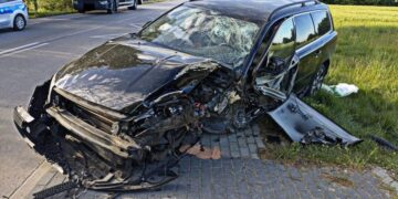 W Gąsiorach kierowca zjechał z drogi i uderzył w drzewo.