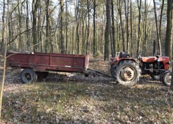 Śmiertelny wypadek podczas wycinki drzew w gminie Ulan-Majorat