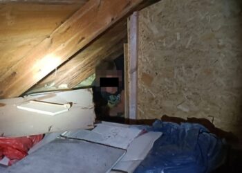 Poszukiwany 29-latek schował się przed policjantami pod wełną mineralną. Trafił do więzienia