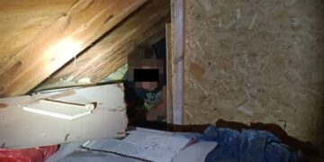 Poszukiwany 29-latek schował się przed policjantami pod wełną mineralną. Trafił do więzienia