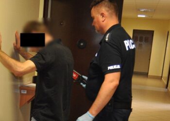 Tymaczoswy areszt za znęcanie się nad siostrą. Fot KPP Radzyń Podlaski